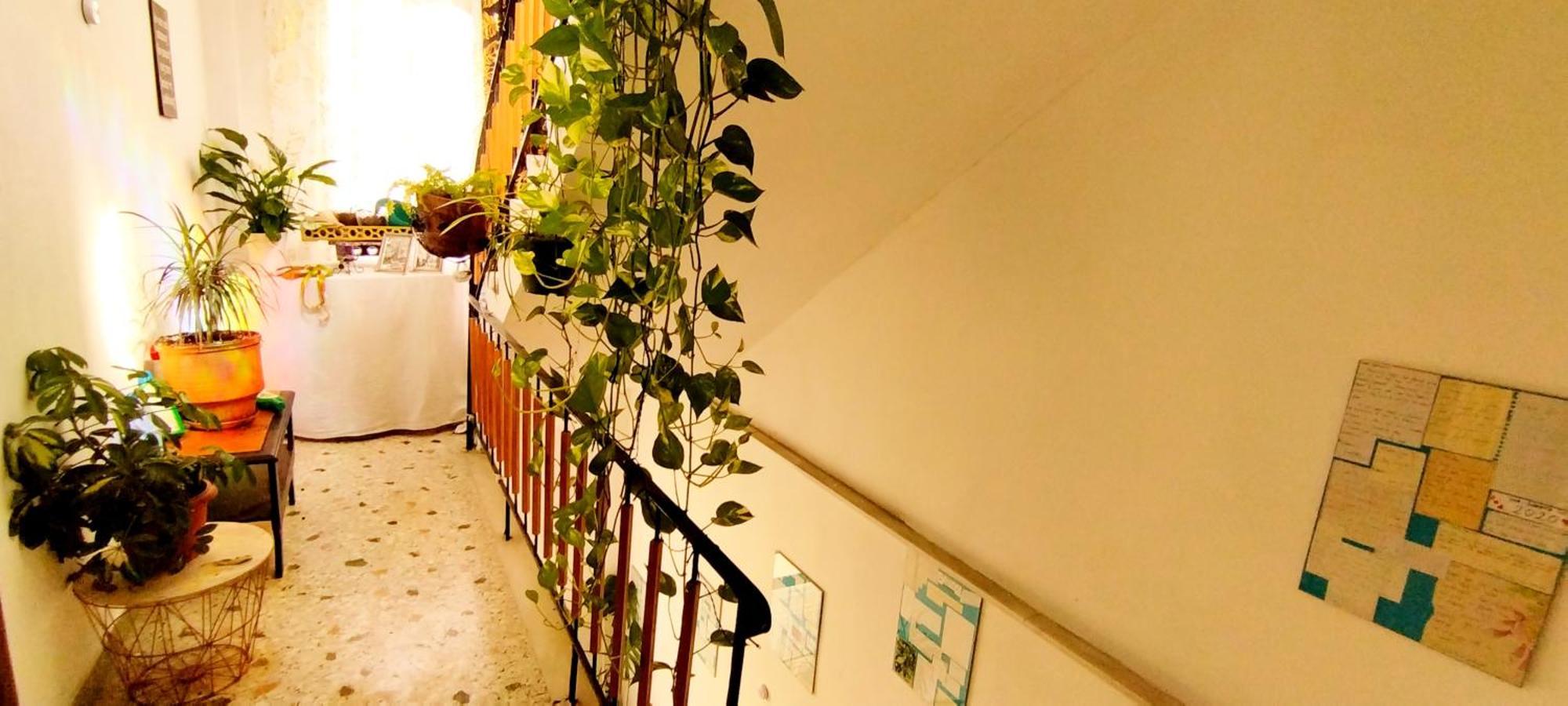 Cozy room in quiet neighbourhood Athene Buitenkant foto