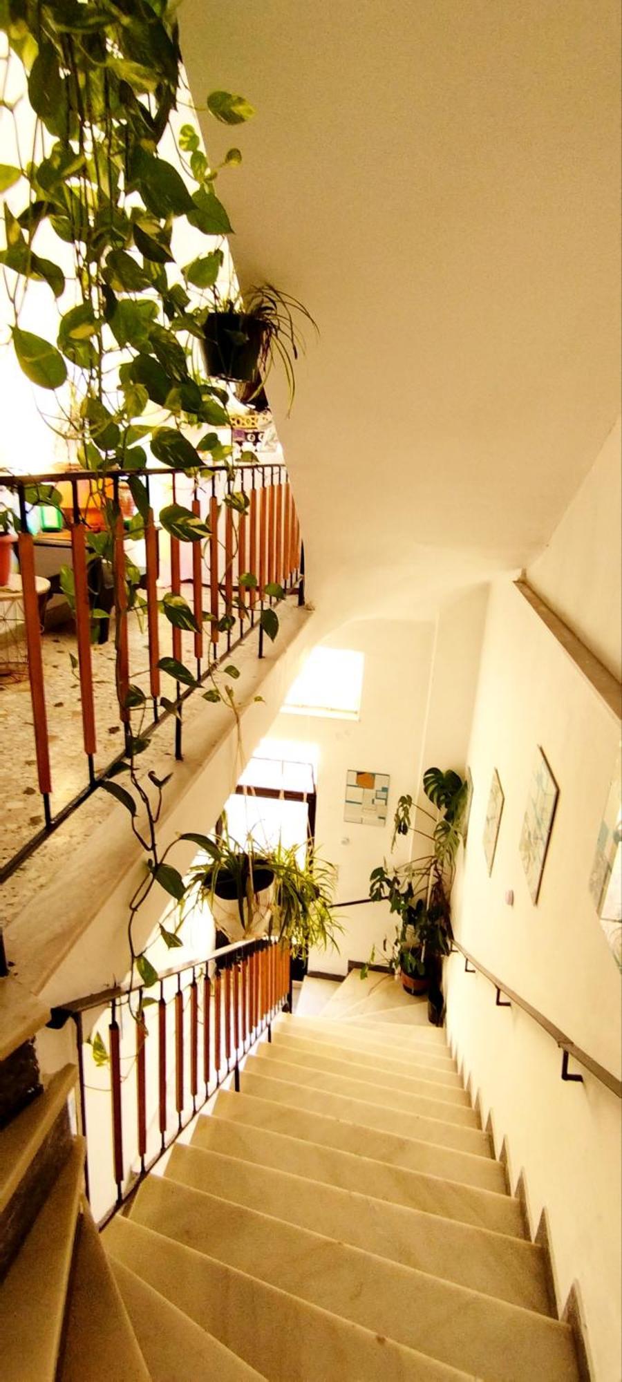 Cozy room in quiet neighbourhood Athene Buitenkant foto